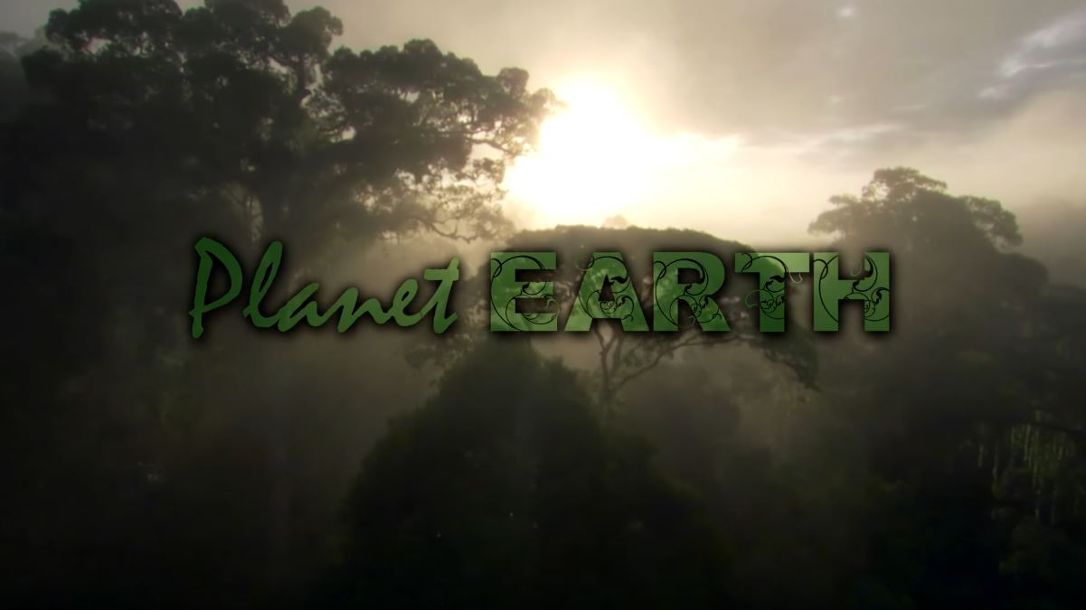 planet earth amazing nature videos