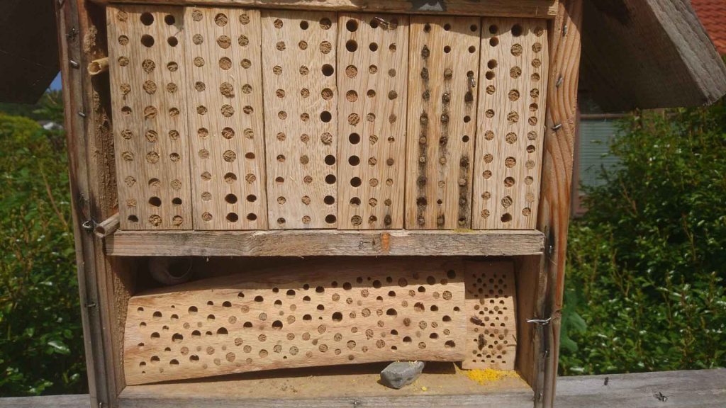 Insektenhotel Bienenhotel selbst gebaut